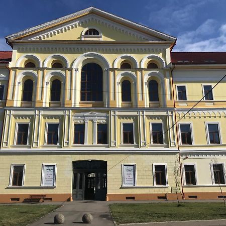 Palatul Lugoj Apartment Bagian luar foto